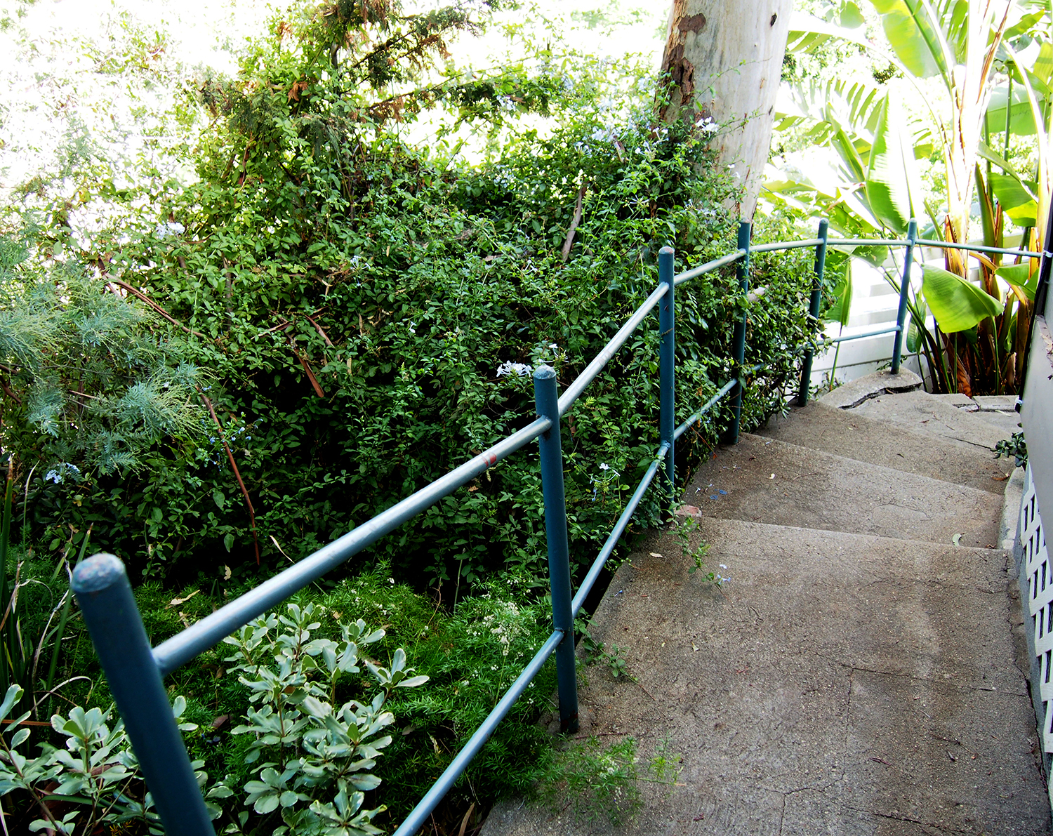 TH_1_Steps_1_1500.jpg
