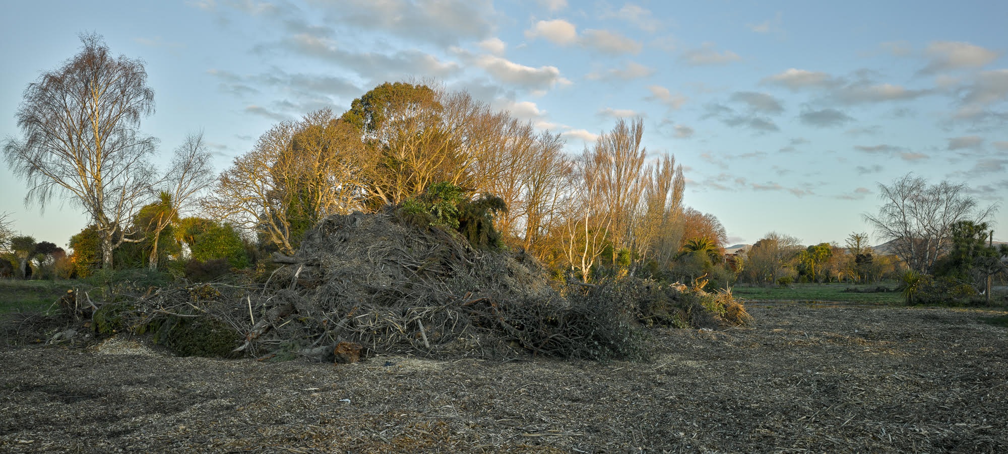 Keller St, Avonside, 2015. Non-indigenous plants and domestic greenery cleared from residential red zone land. 