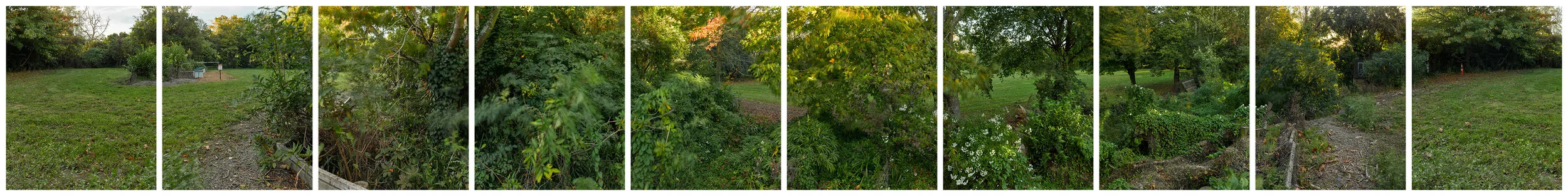 Banks Avenue, Richmond/Avonside, 360 degree panorama.