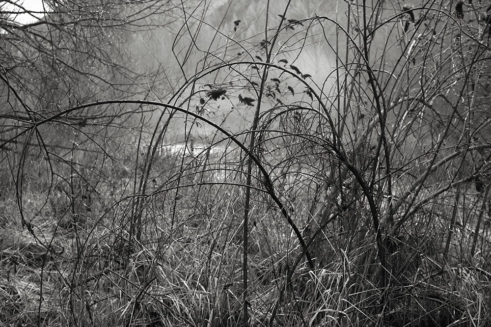 Julian Ward, from Banks of the Arrow series