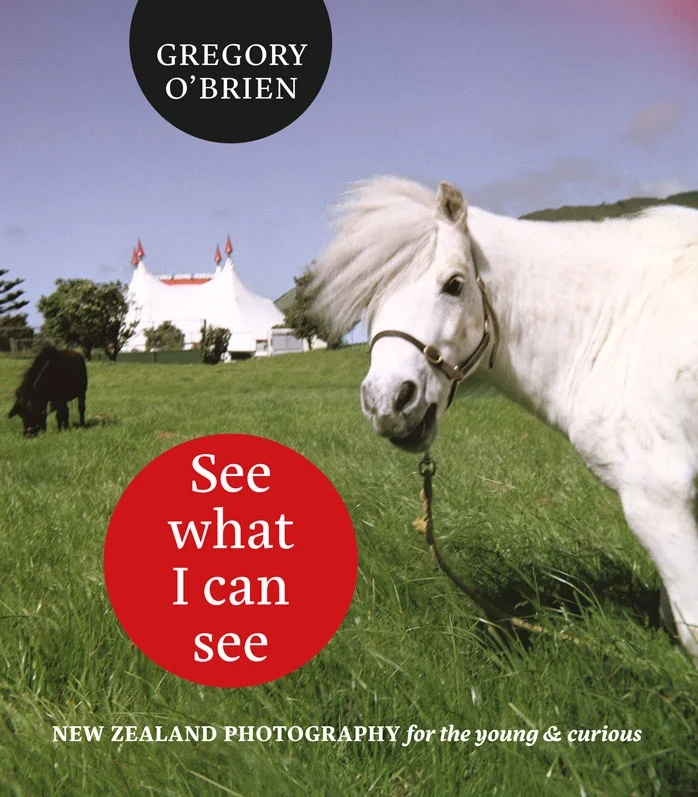 Obrien_See-what-i-can-see.jpg