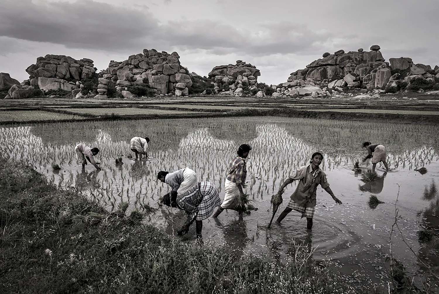 Cai Huansong Hassan, India , 2015
