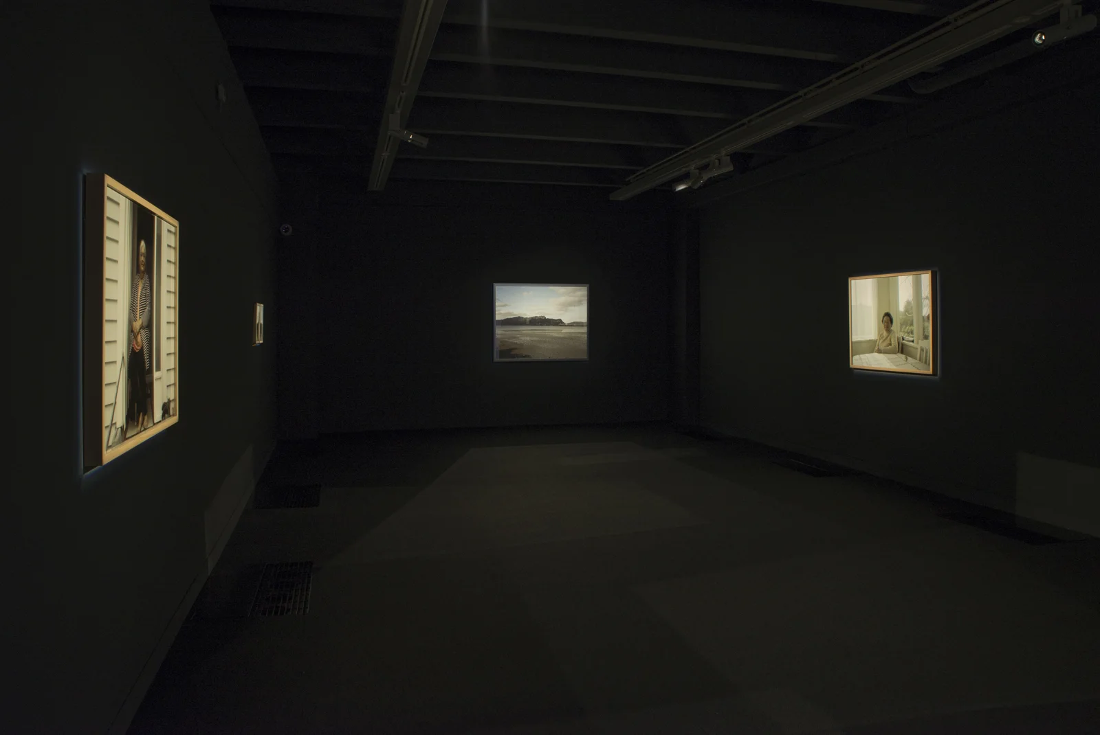 Installation view, Ngahuia Harrison, Kirk Gallery from The earth looks upon us / Ko Papatūānuku te matua o te tangata . All installation shots are by Shaun Matthews.