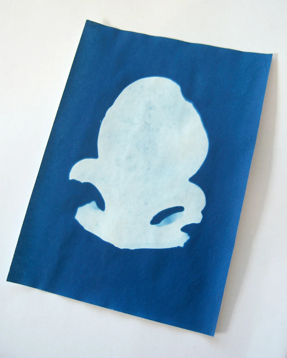 Areta Wilkinson and Mark Adams, Z6469 Cheviot Hill. Collections of Museum of Archaeology and Anthropology, Cambridge, UK , 2017, Cyanotype blueprint.