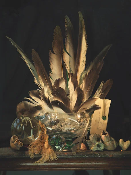 Fiona Pardington , Still Life with Albatross feathers, Pounamu and Coral Hearts (Ripiro Beach), 2014