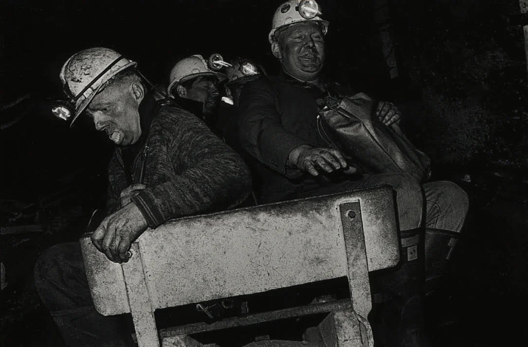 Ways of Being - reviewed