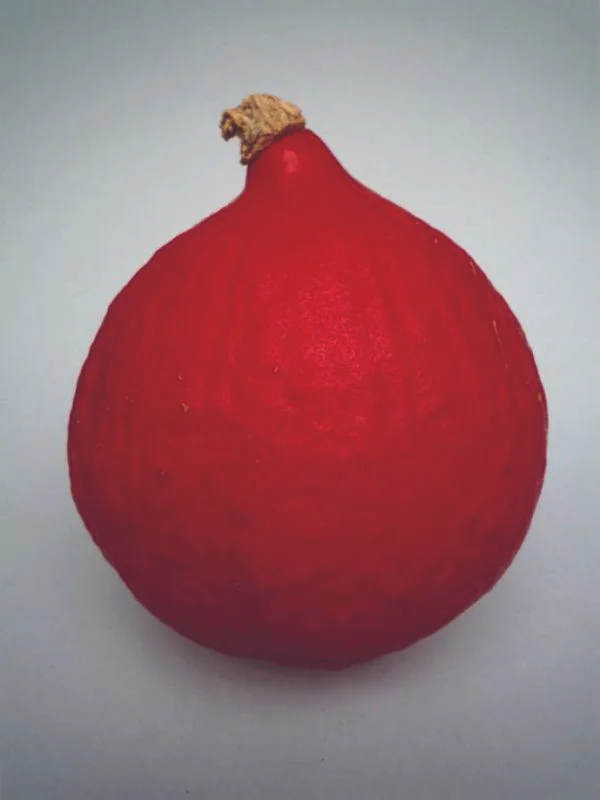 Peter Peryer, Pumpkin, 2010, edition of 15, pigment inks on paper, 300 x 225 mm