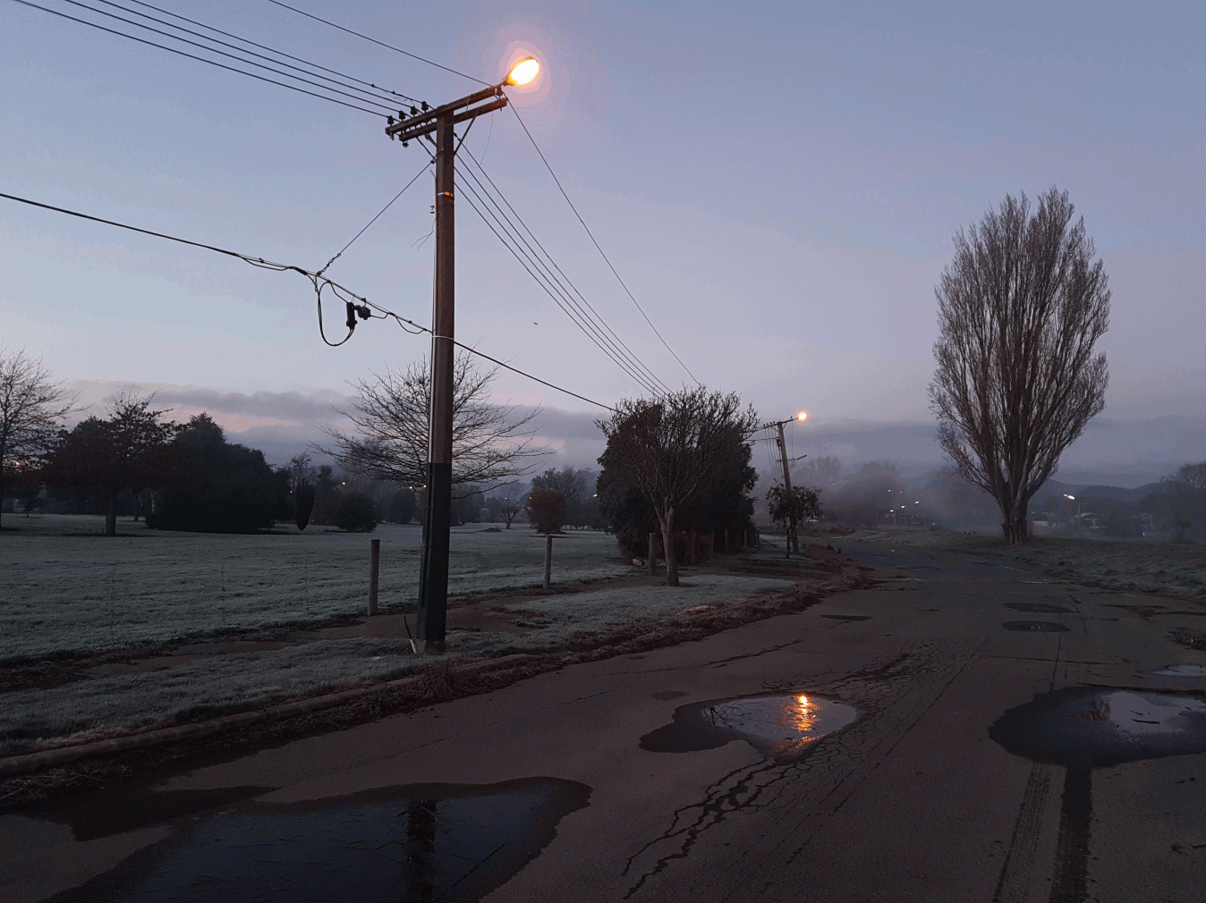 Jane Zusters - Is There Anybody Home