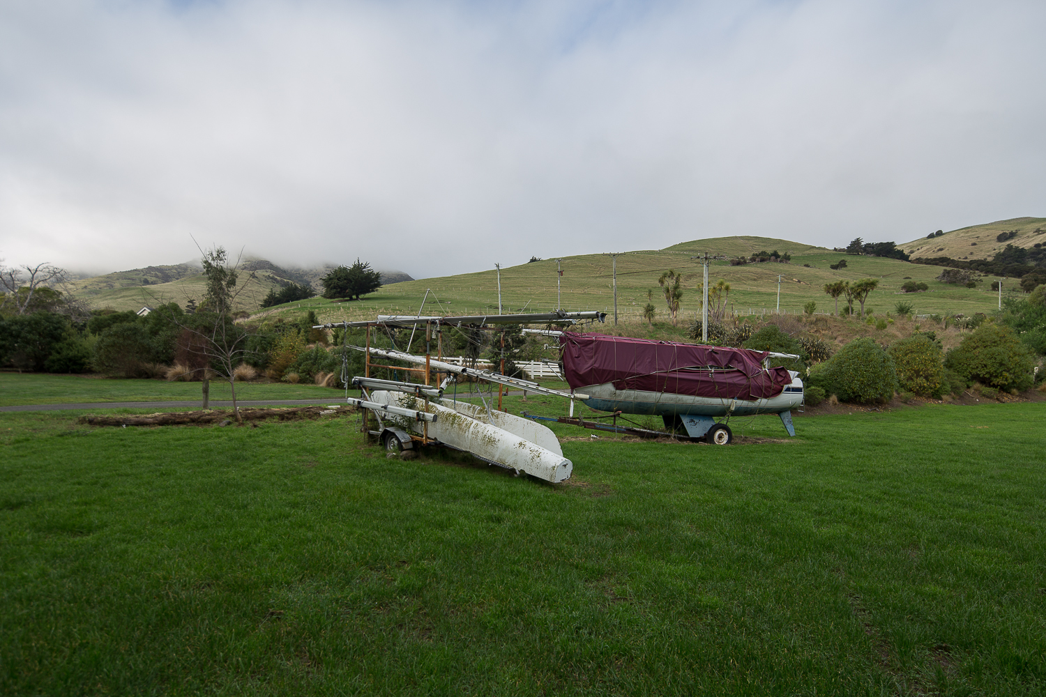  Arabella Spoors,  Pigeon Bay, Wakaroa, Bloodlines  