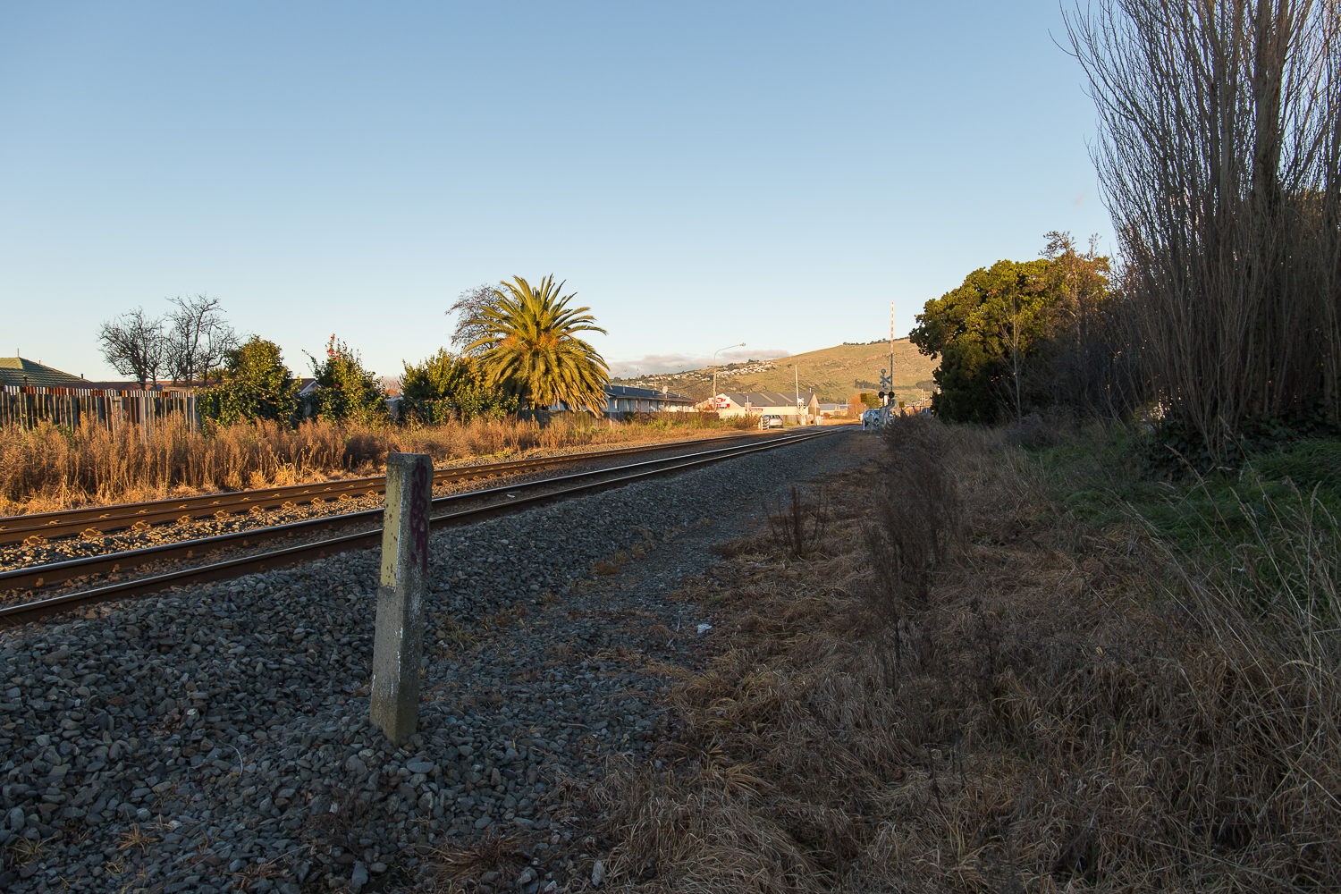  Arabella Spoors,  Ōpāwaho Pā site, Poho Are-Are track, Opawa, Bloodlines  