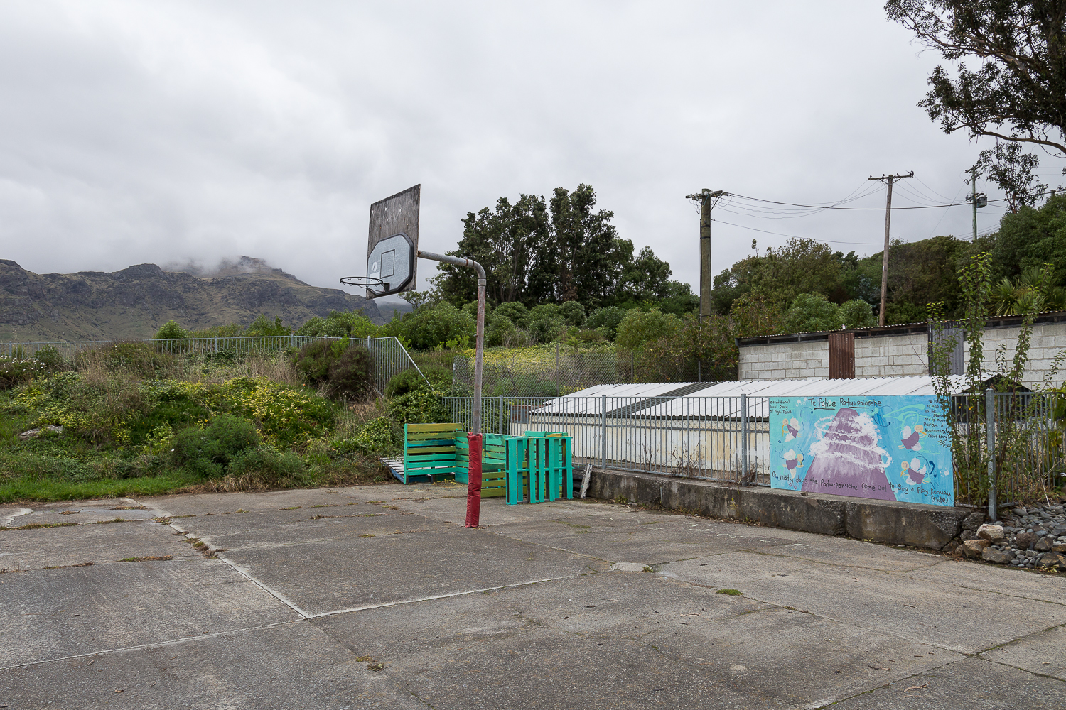  Arabella Spoors,  Te Ahu Pātiki, Mt. Herbert, Bloodlines  