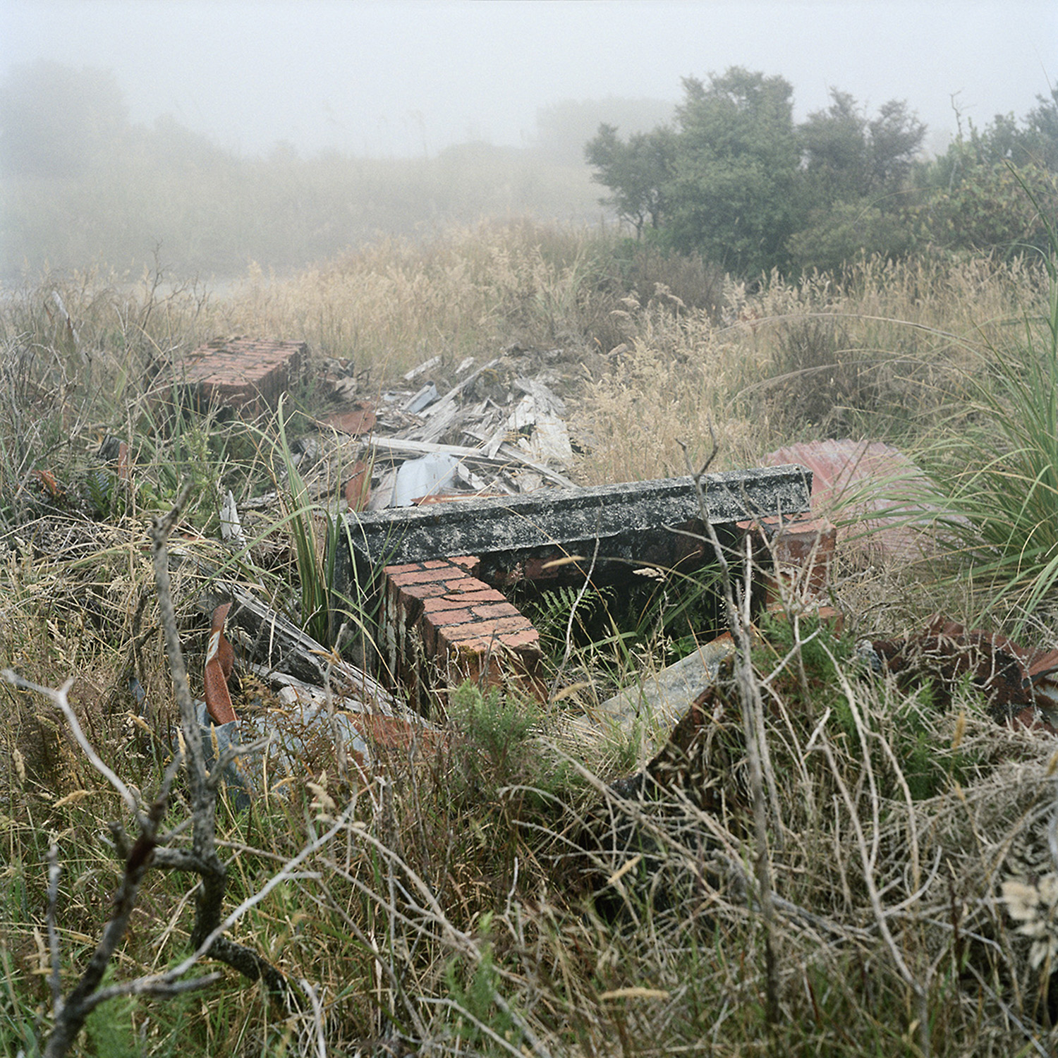  Caroline McQuarrie,  Remains of private residence,  Denniston, January 2013, from  No Town   