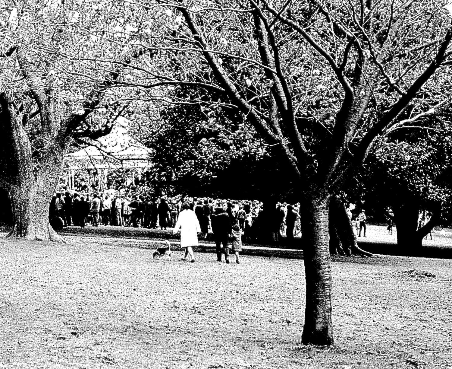 "Jumping Sunday", Albert Park, Auckland, 1969