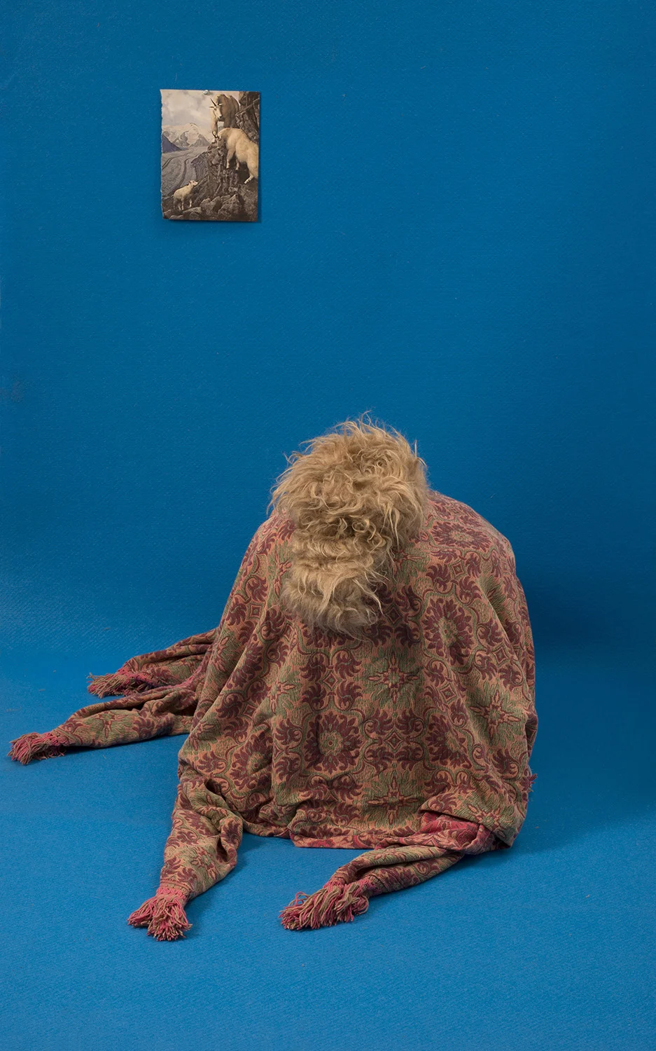Andrea Gardner I Wish I Were You (1000H x530W)