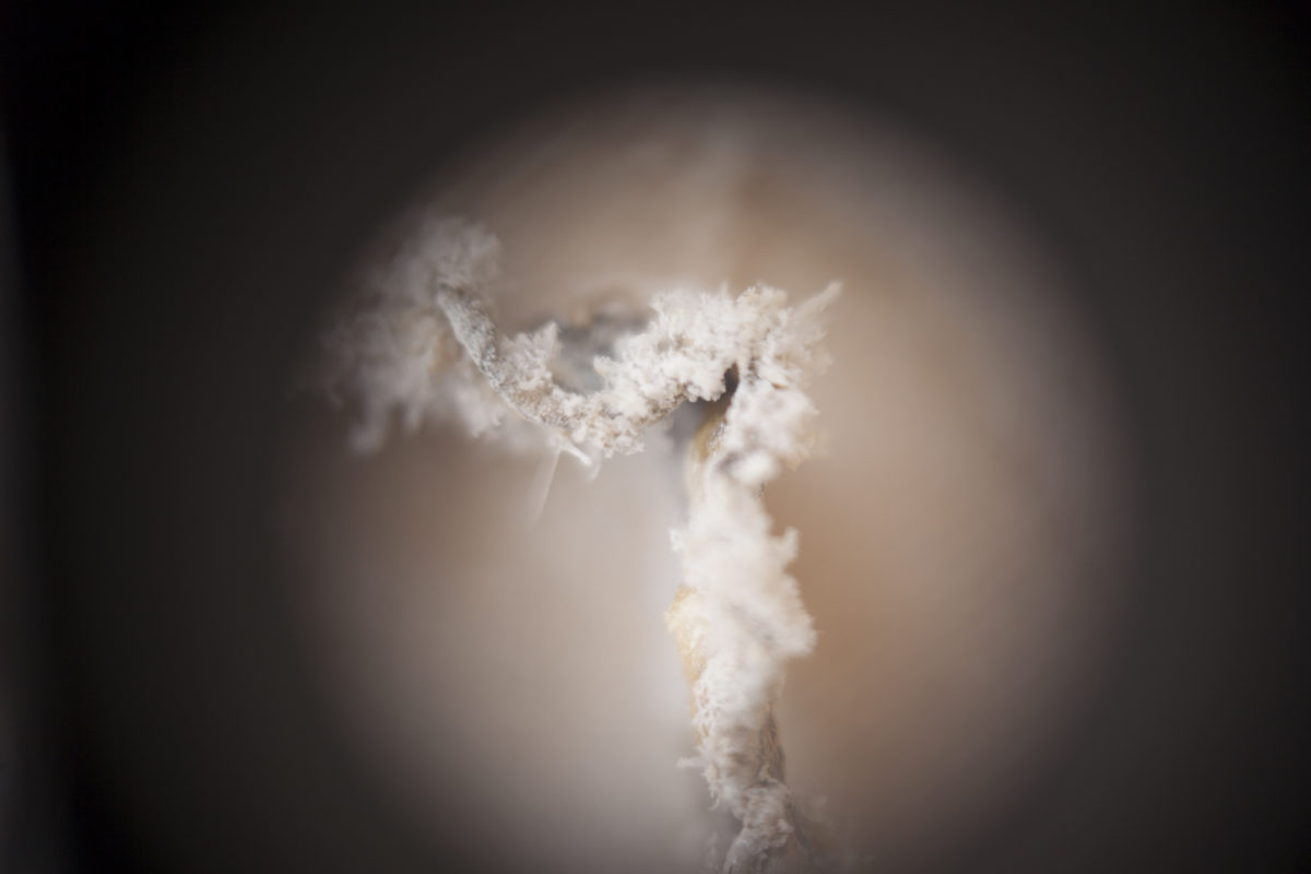 Rebecca Swan: The Memory of Water (detail)