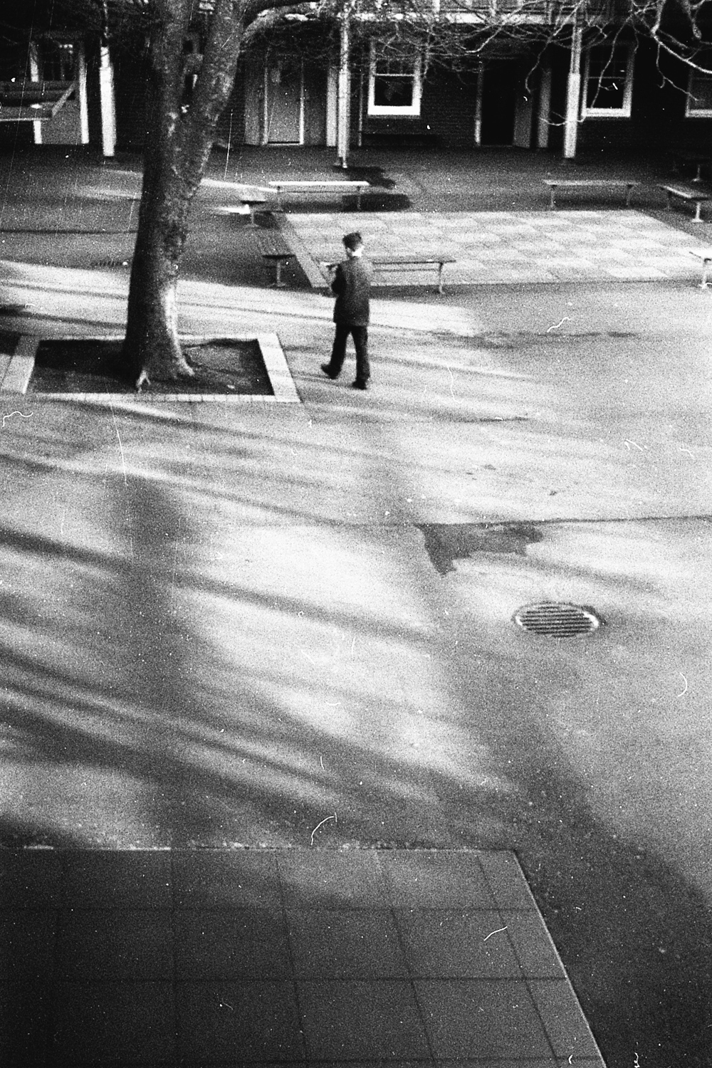  Boy walking across the Quad, 2017 