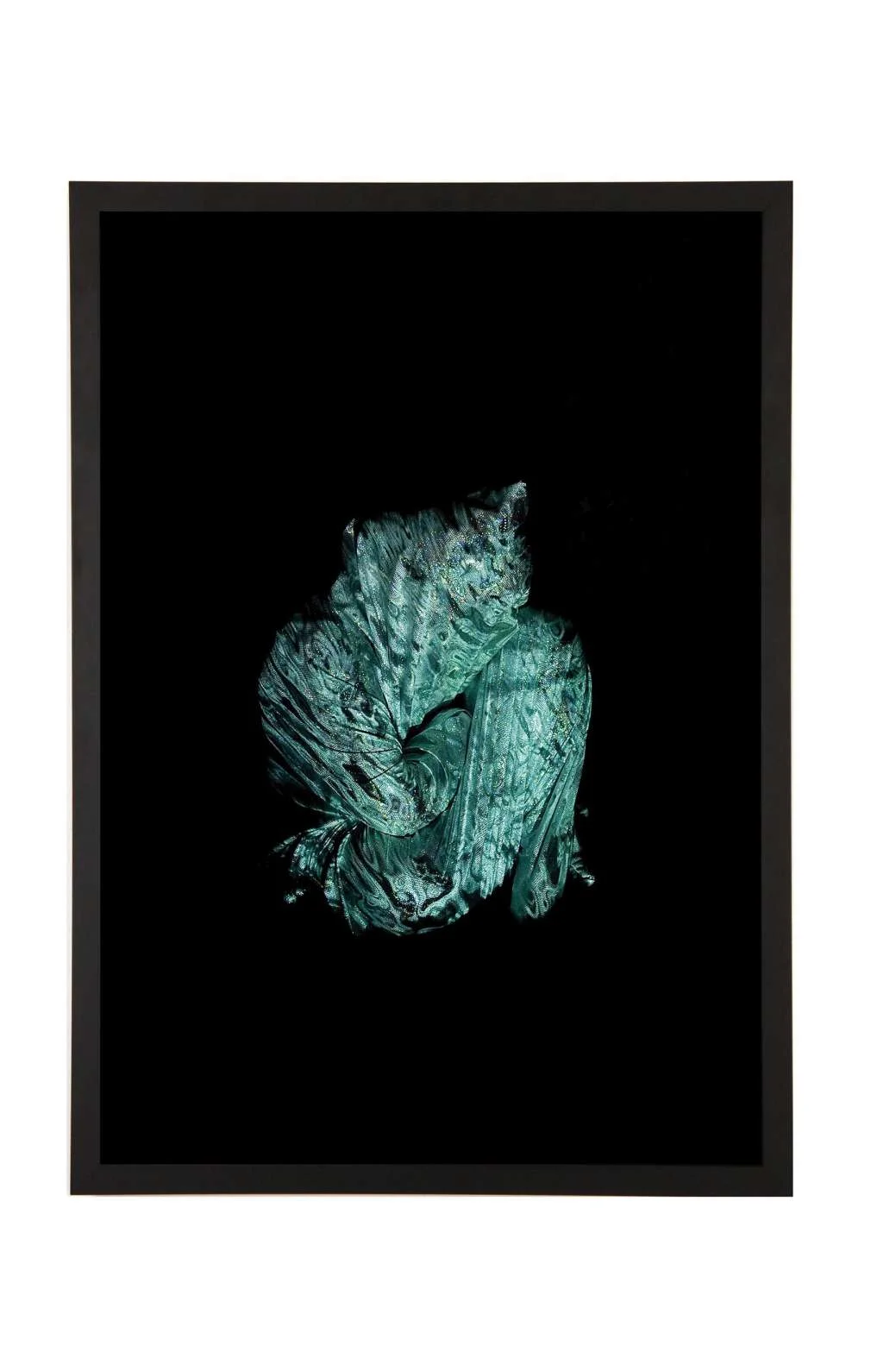 Niki Hill Chrysalis 2017. C-type photograph