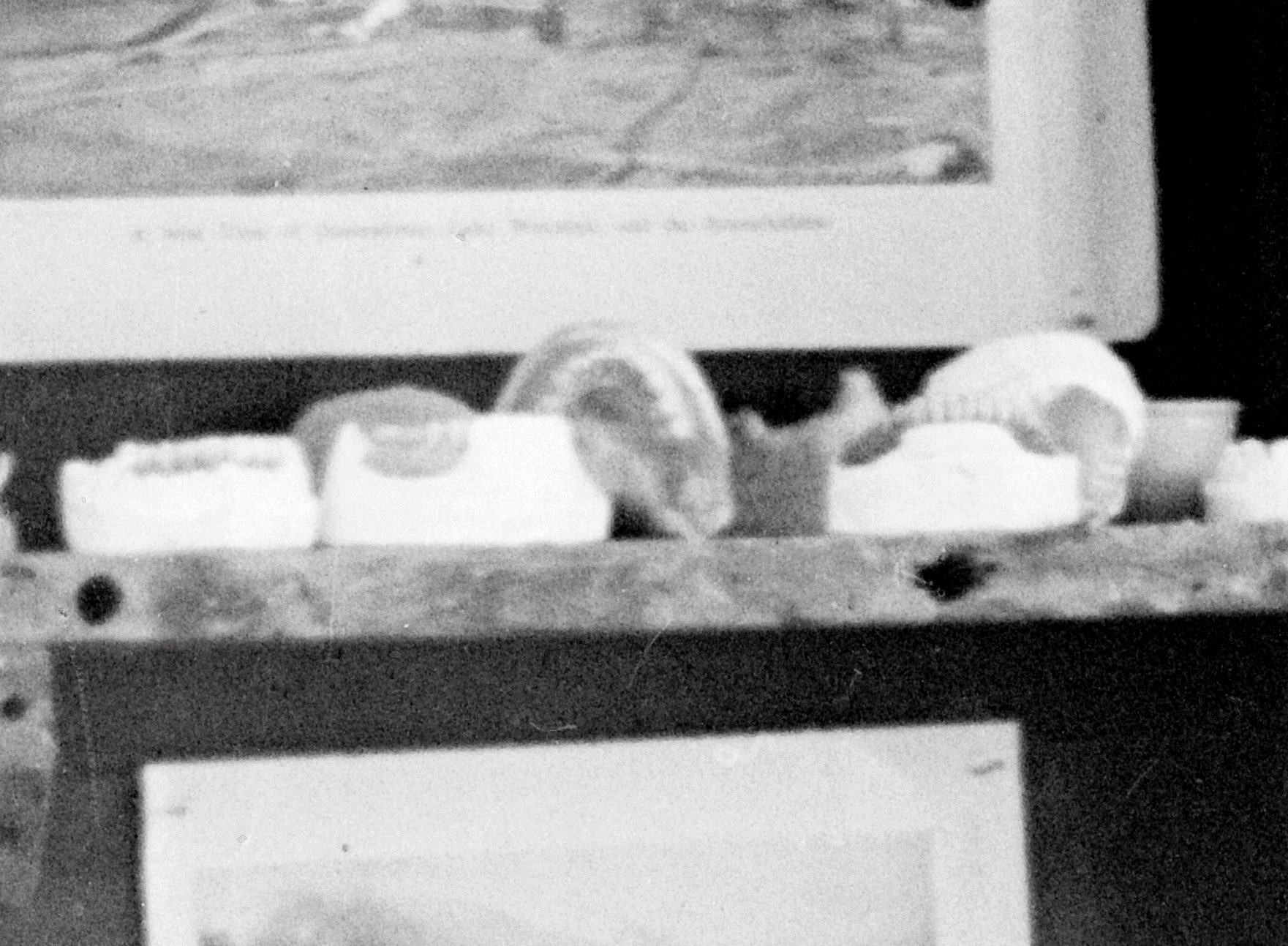 Close up of dentures in workshop.