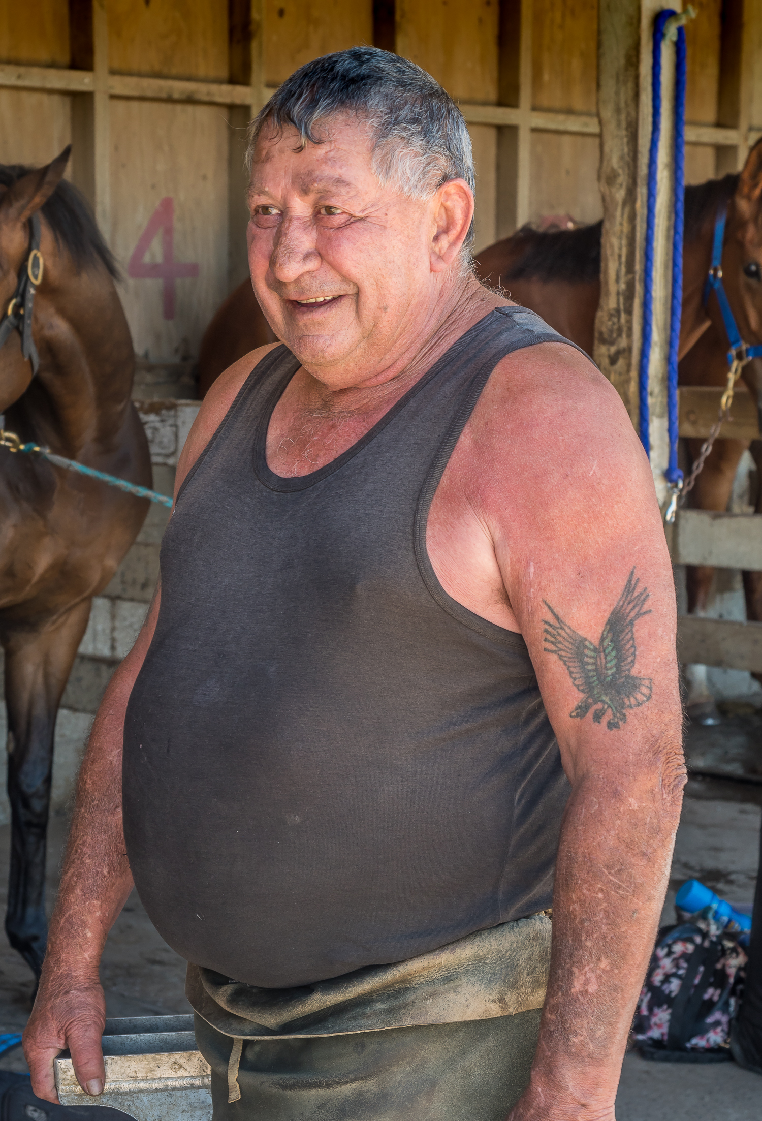  Farrier, Raukaka, November 2018 