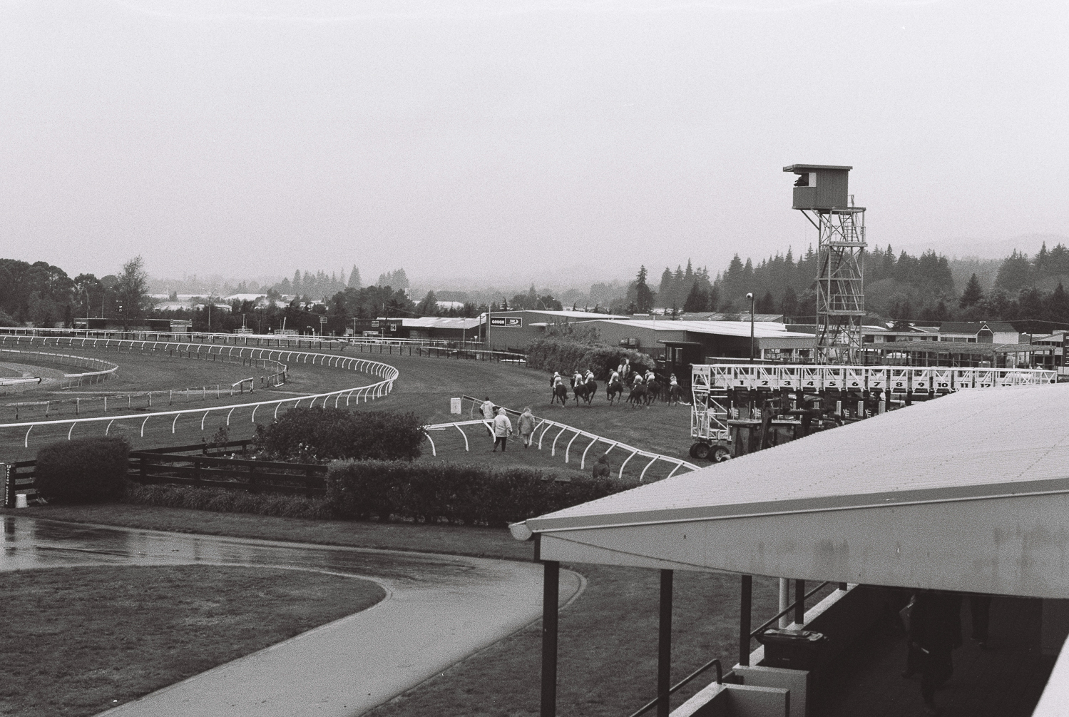  Race start, Rotorua Racecourse, April 2019 