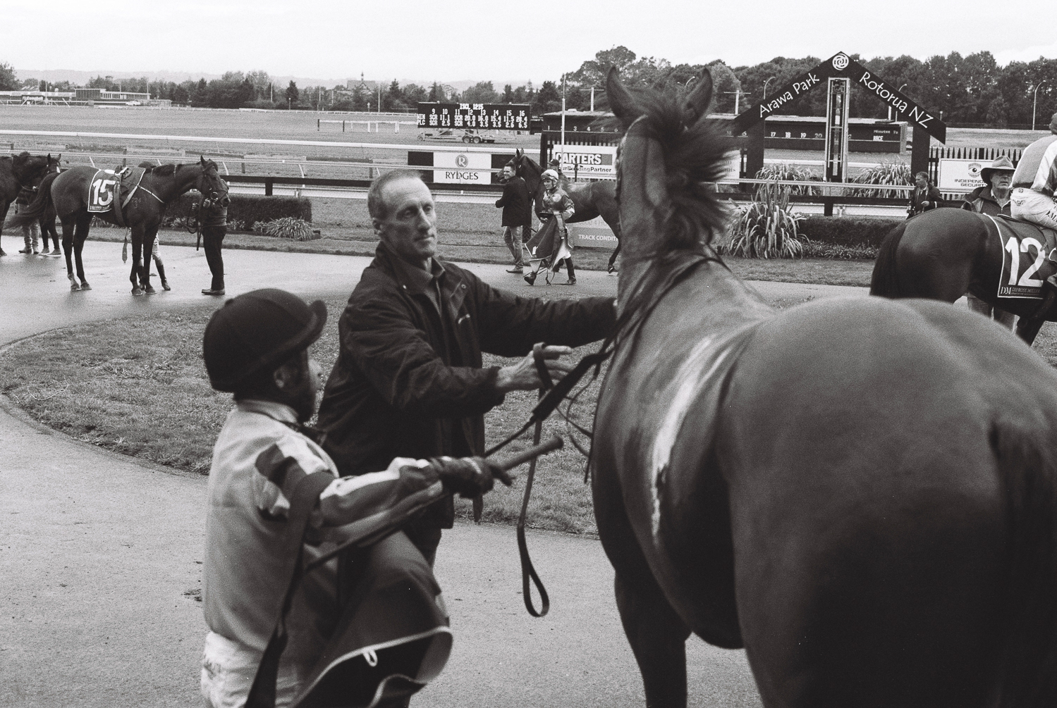  Birdcage, Rotorua Racecourse, April 2019 