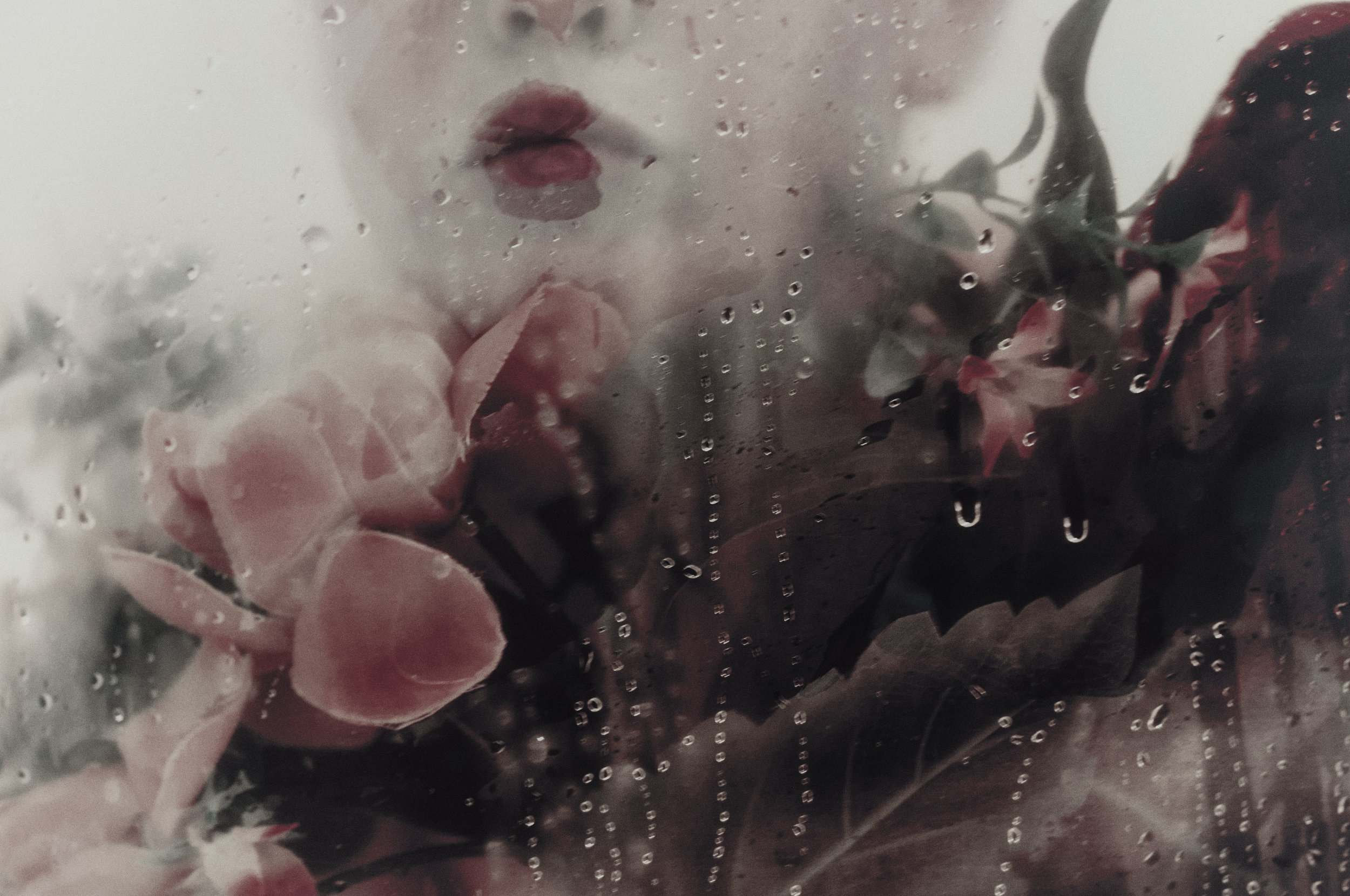 Lara Gilks, Adorn , from the series Beneath the Ice , 2017