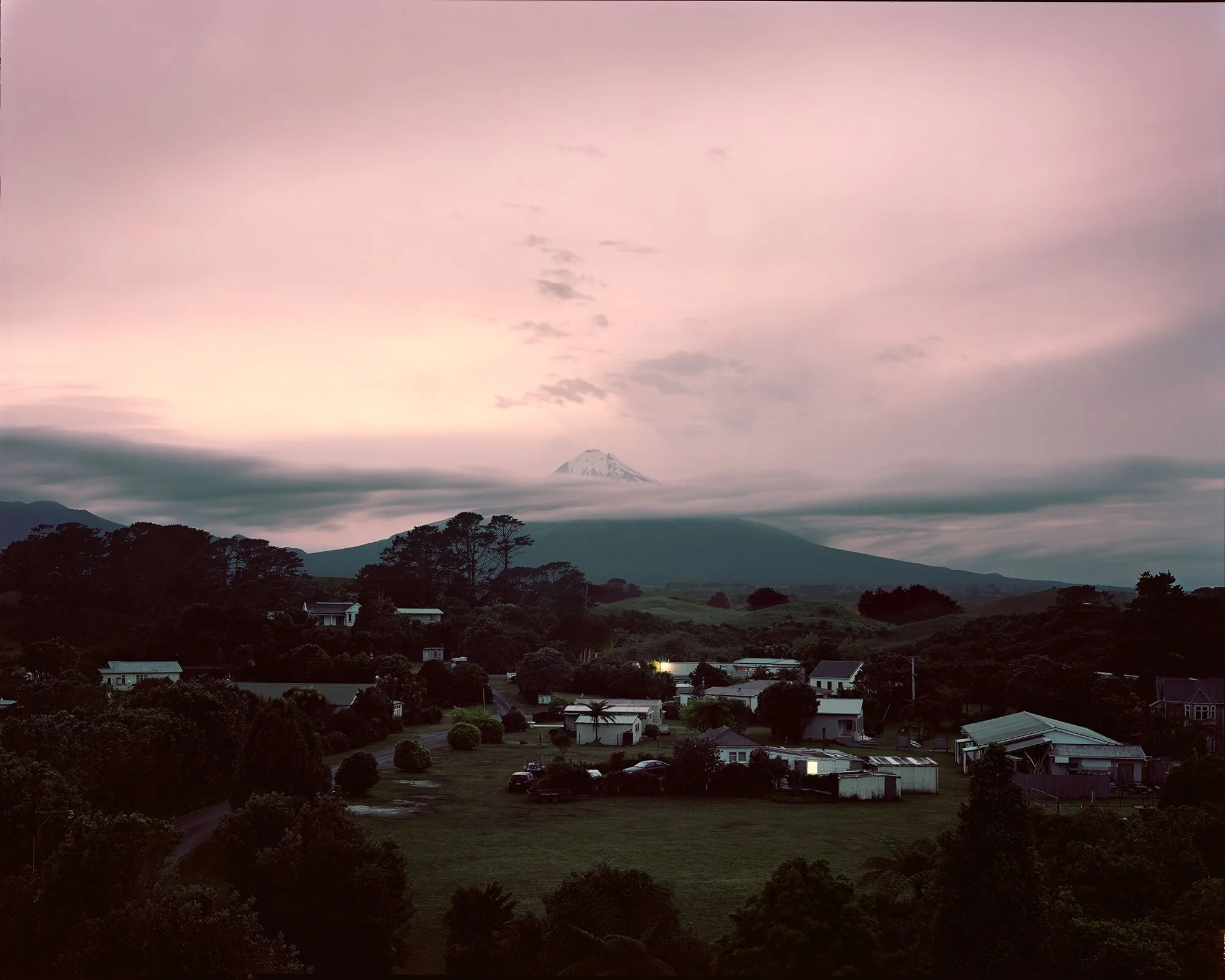 Jono Rotman, Taranaki, Purepo MMXV11 , from Mongrelism