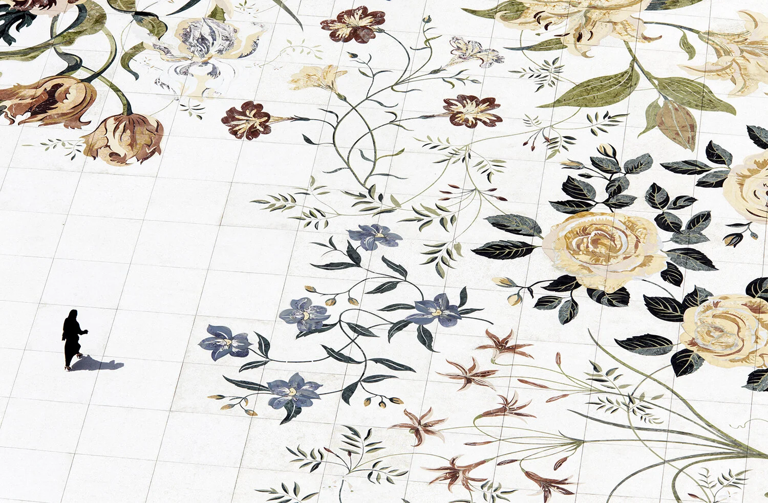 Dave Yoder, Walk with the flowers , Abu Dhabi, National Geographic