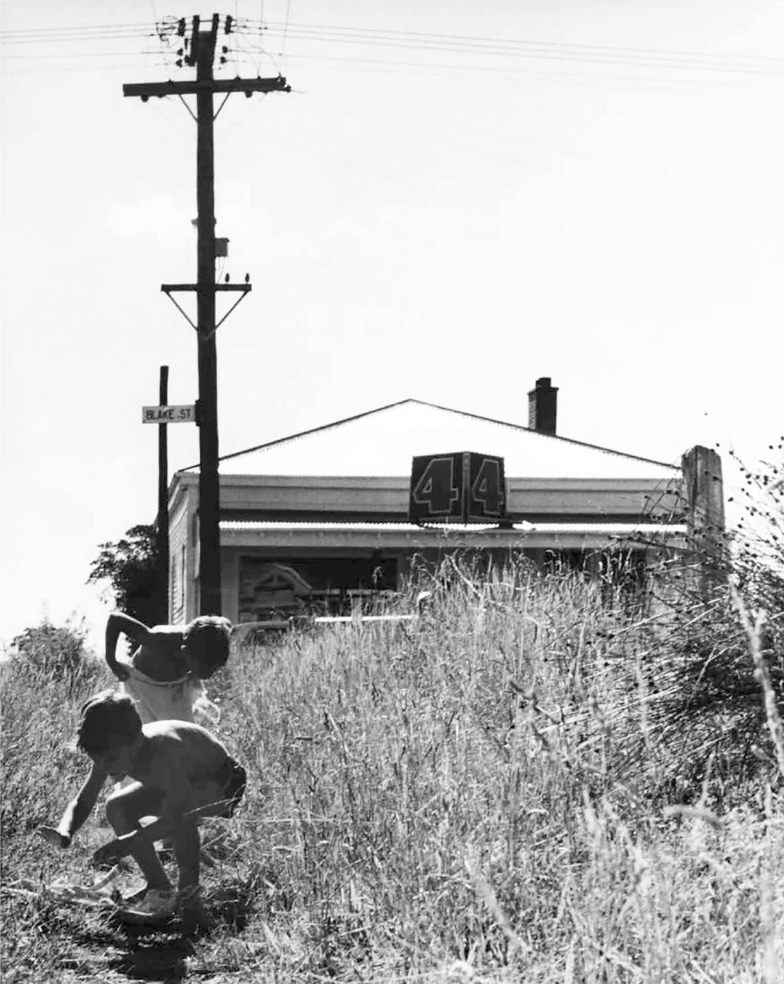  Ans Westra,  Catching crickets, Greymouth , 1971 