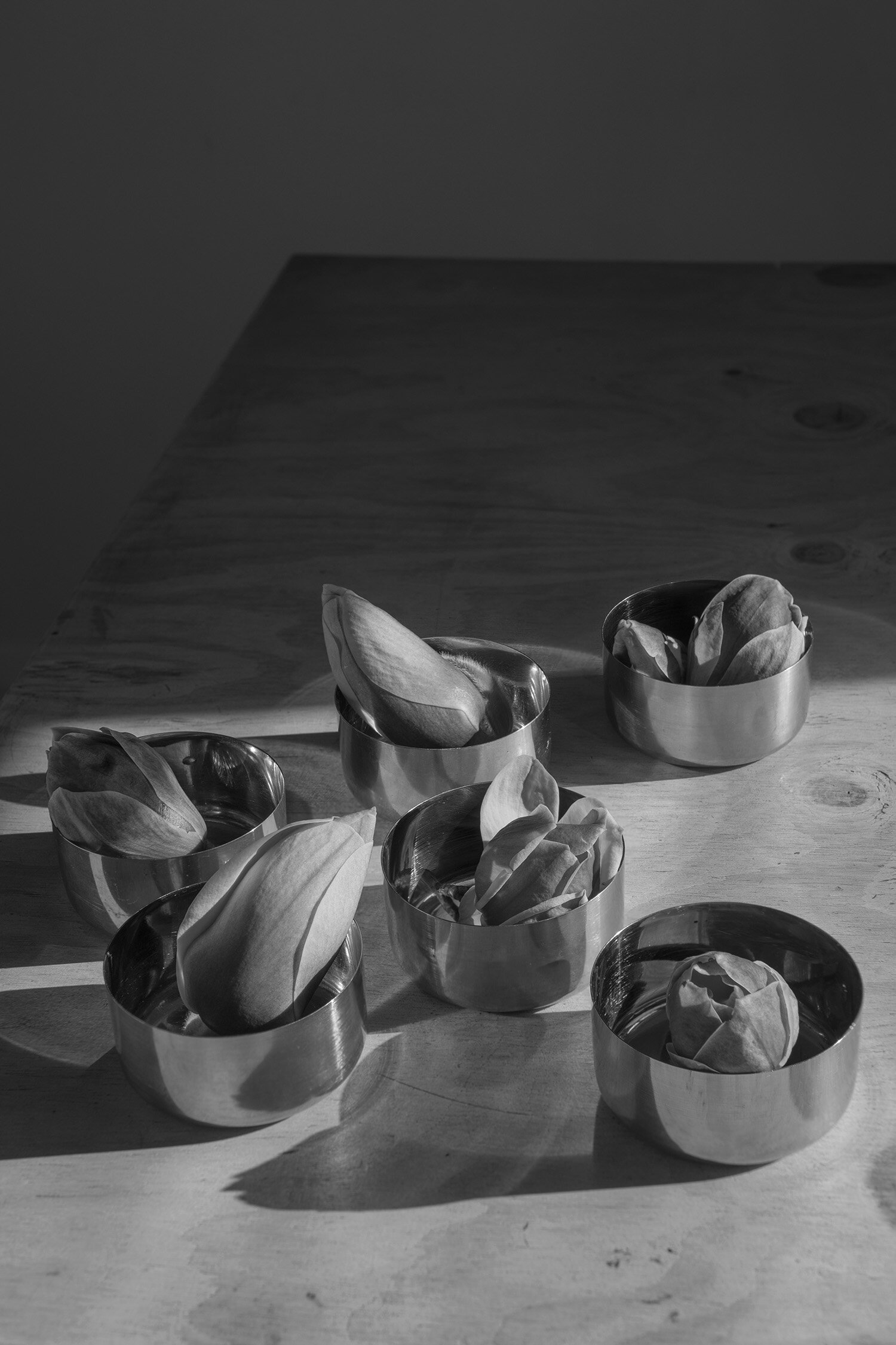  Johanna Mechen,  Flower Cups  