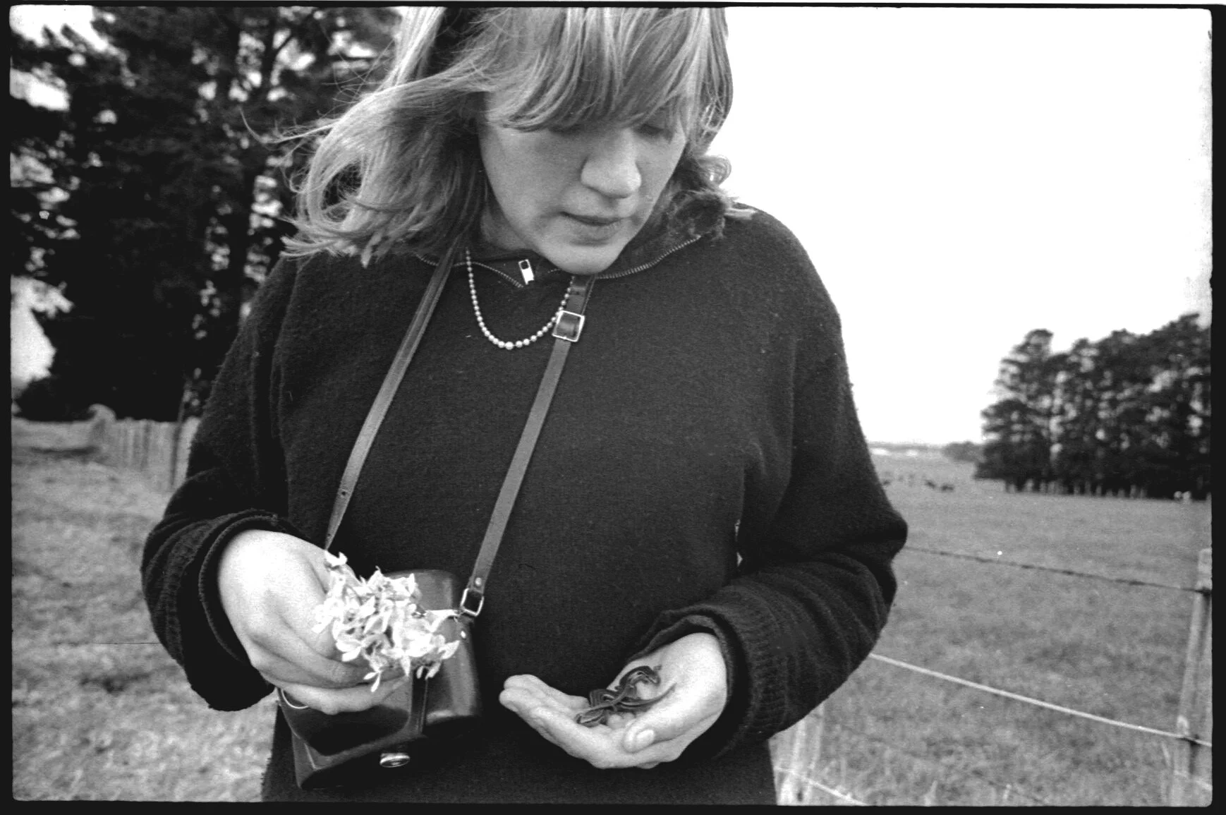 Ivan Rogers - essay — PhotoForum