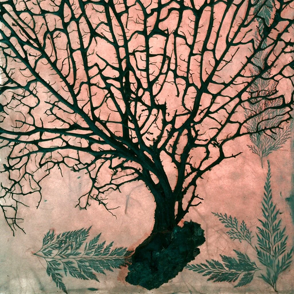 Photographs &amp; Filmpop