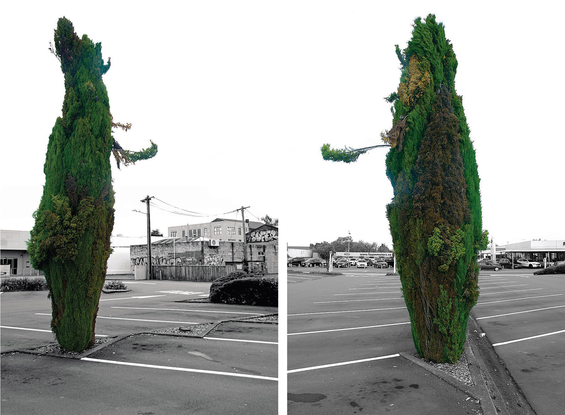  Madeleine Slavick,  Parking Lot Conversation , 2020. Archival inkjet prints. Diptych, 35.4 x 16.5 inches each. 