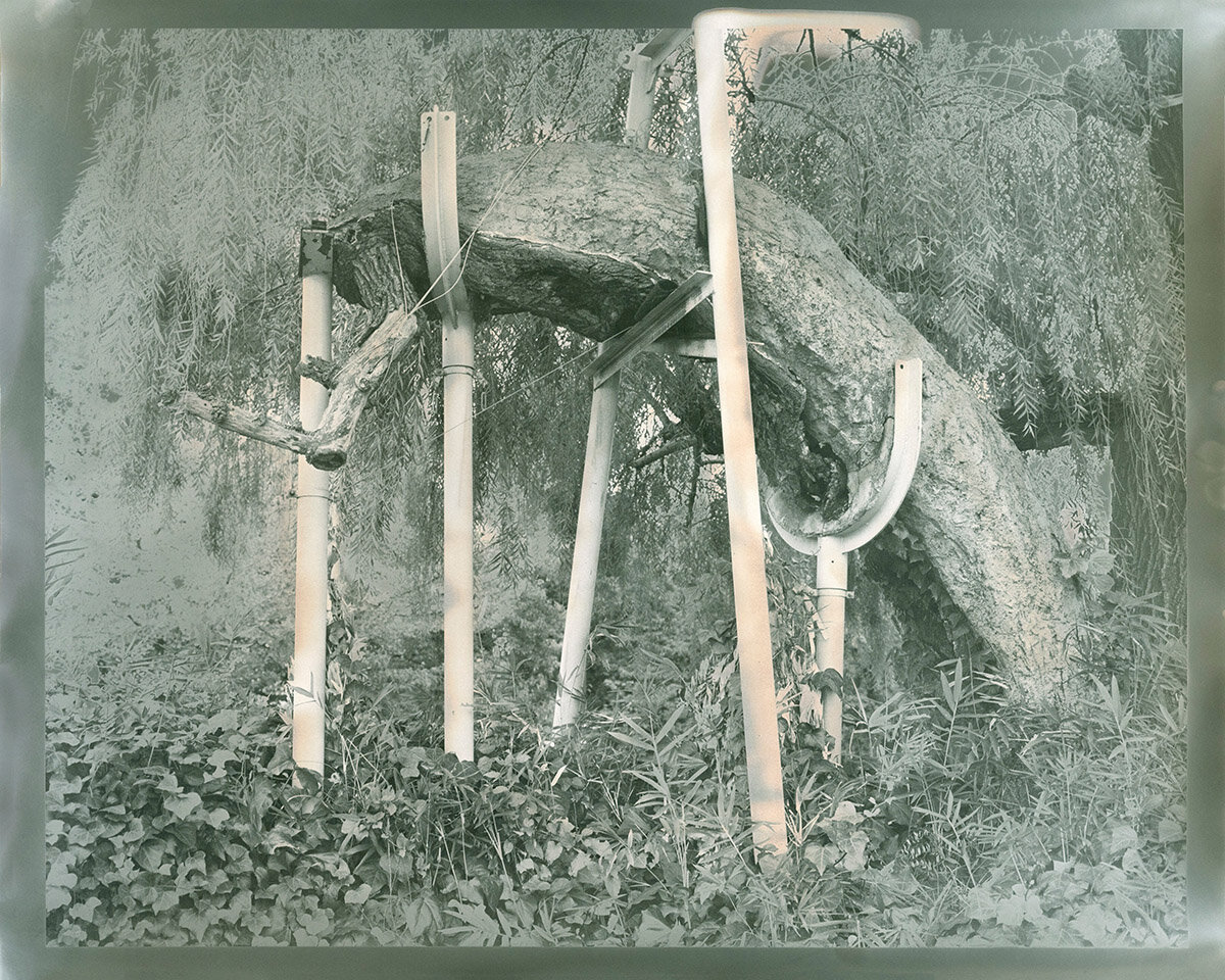  elin o’Hara slavick,  A-Bombed Weeping Willow Tree, Hiroshima,  2019. Solarized silver gelatin print, 16 x 20 inches. 