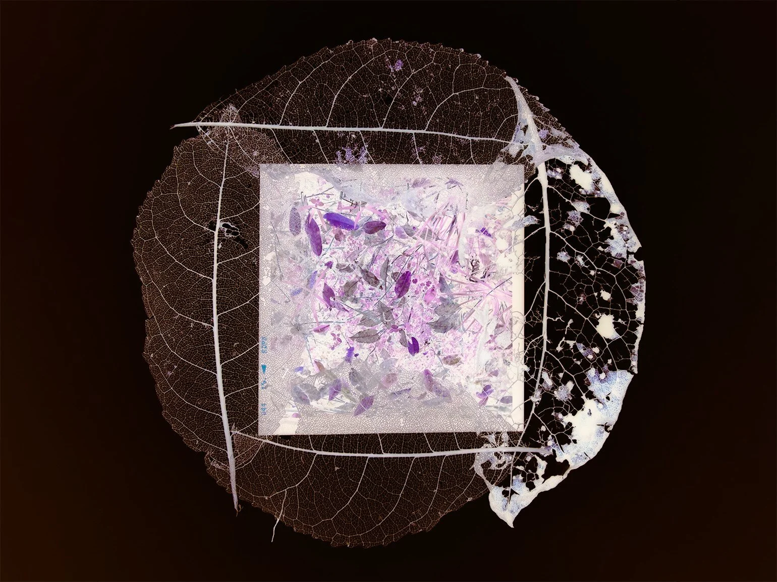 Image Object Meditations