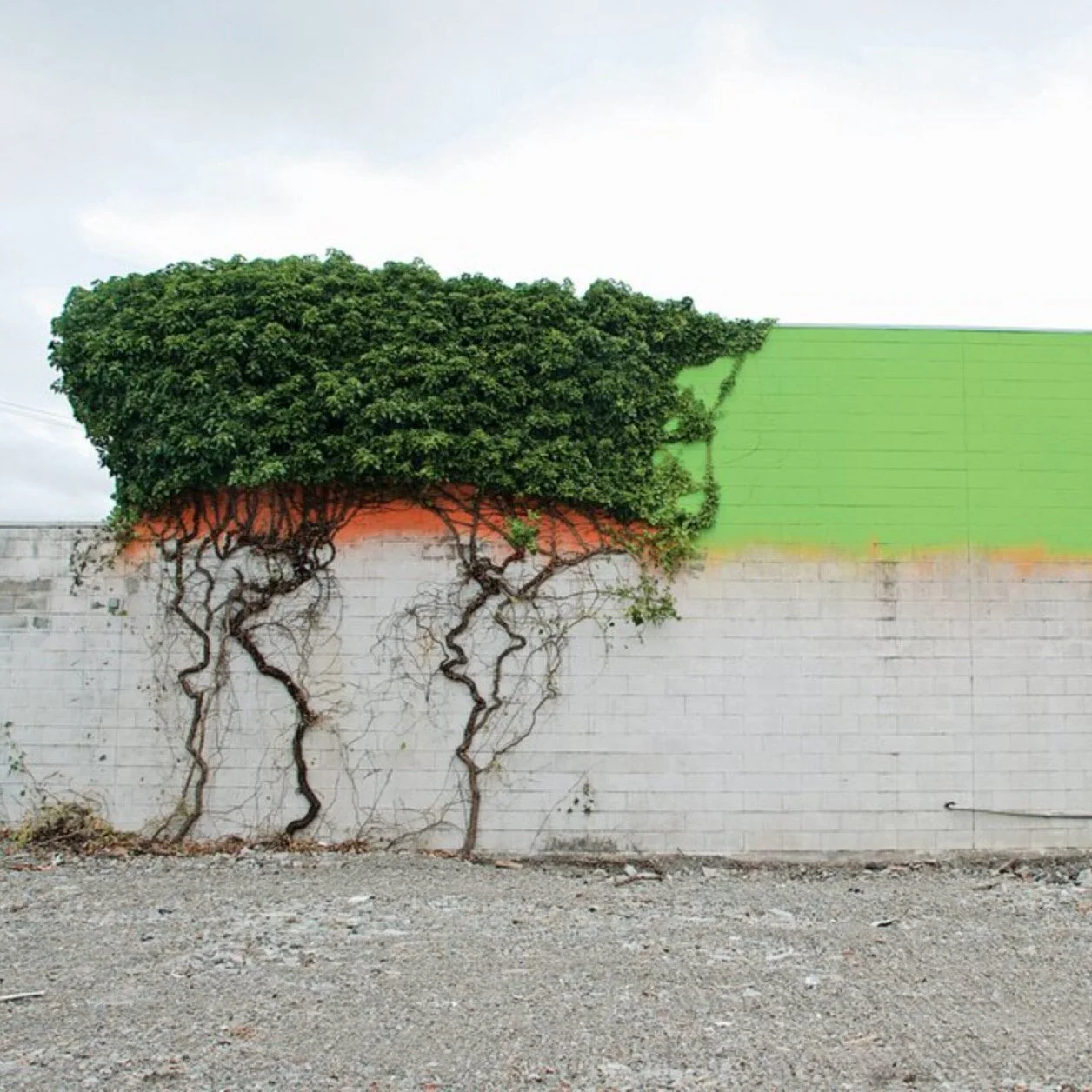 Madeleine Slavick’s Art of Looking