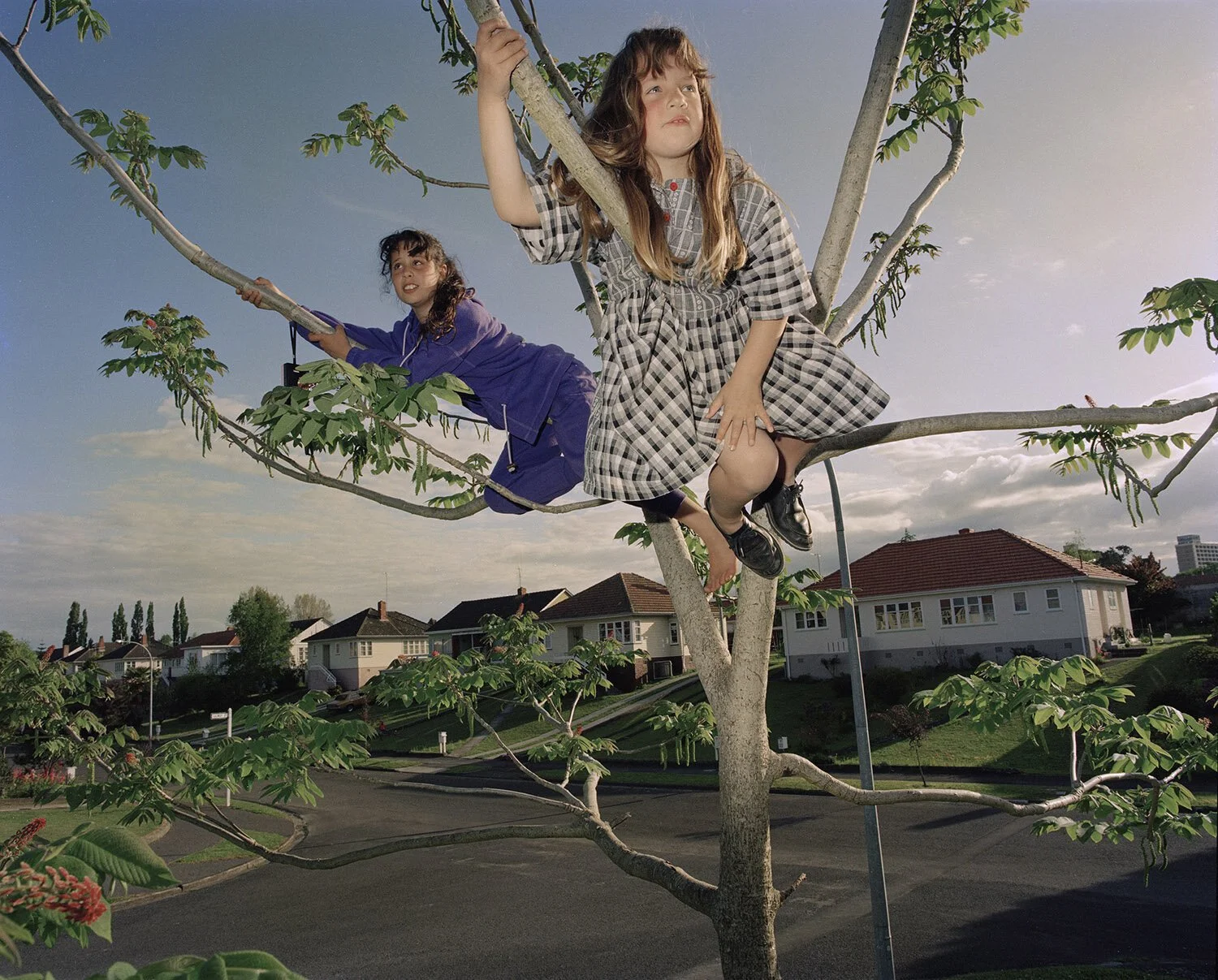 Jellicoe &amp; Bledisloe: Hamilton in the 90s 