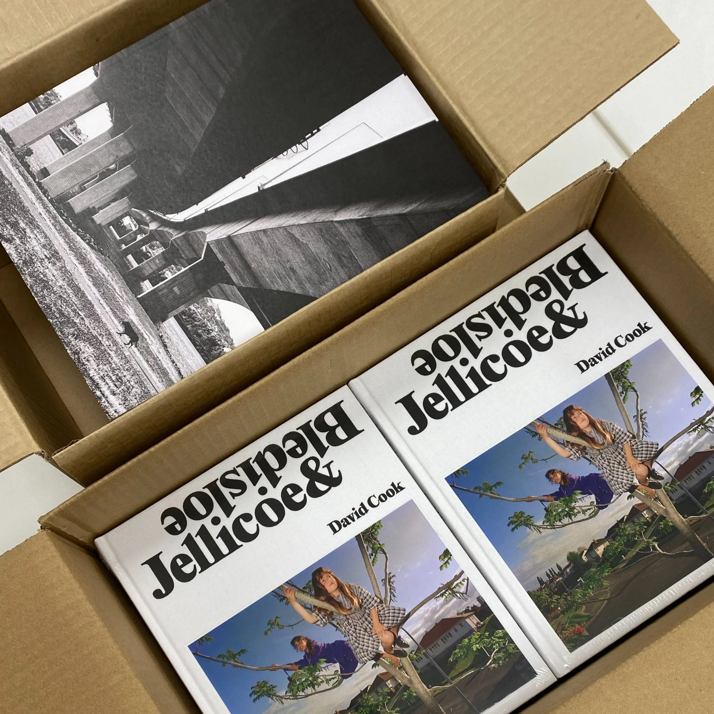 Two new photobooks from PhotoForum Publications