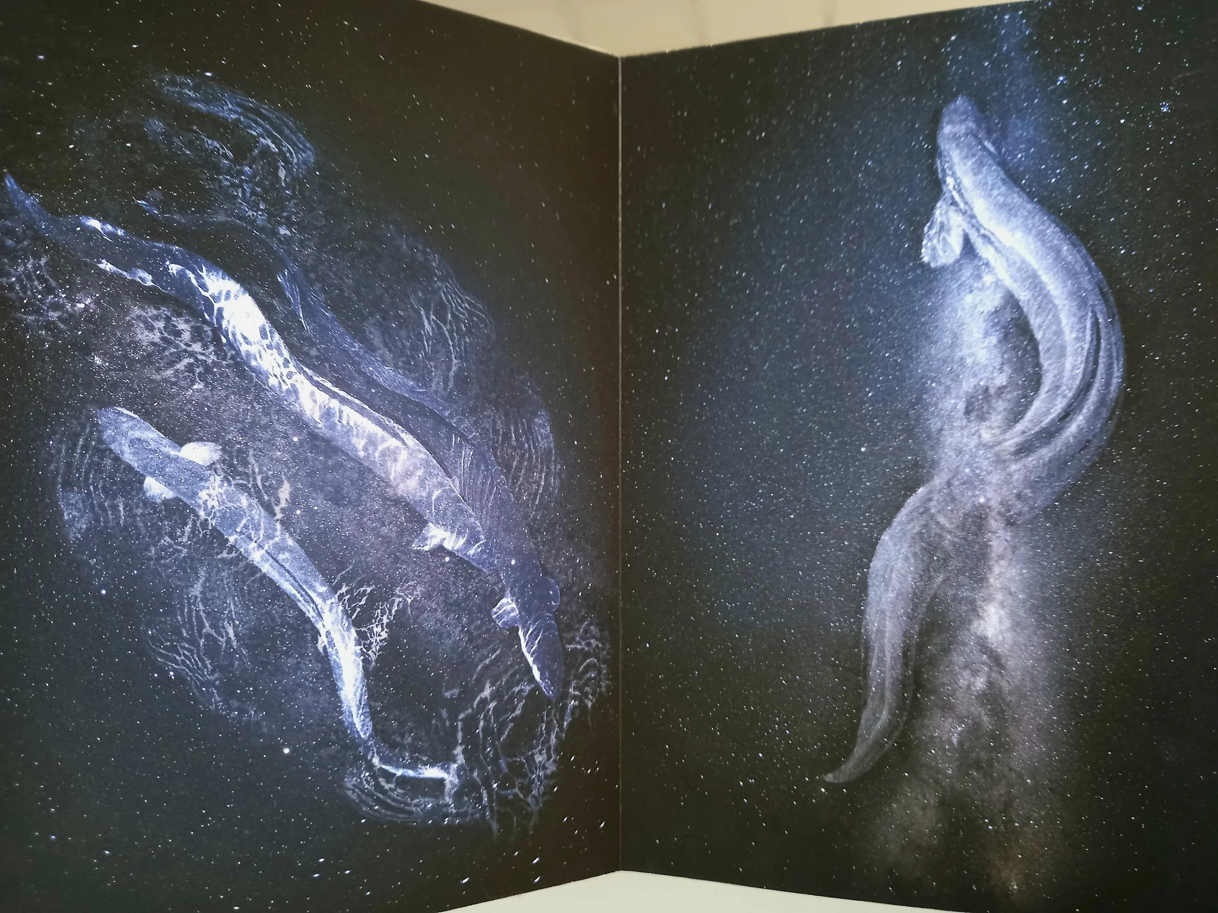 Mā Wai Rā: New Māori Photobooks