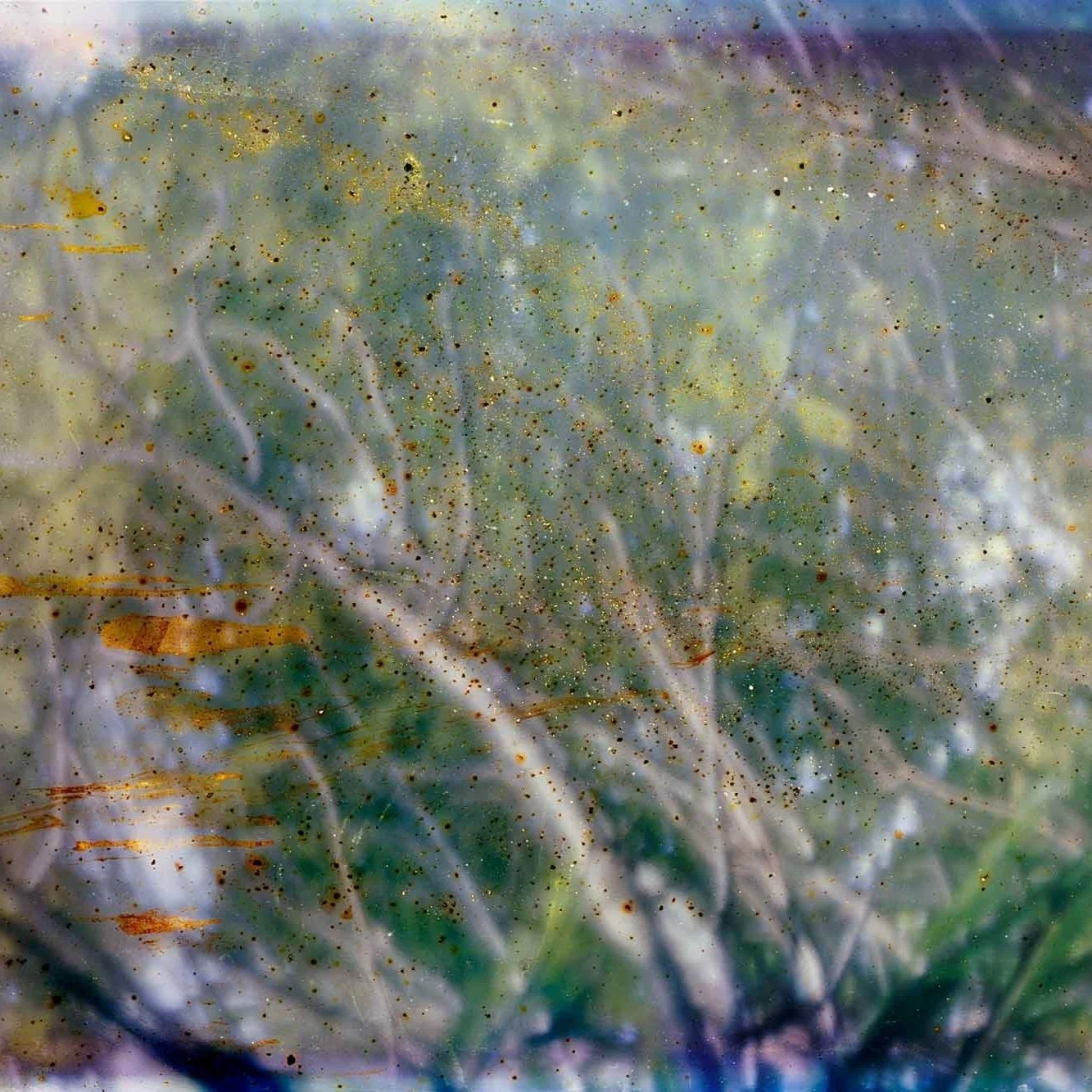 The River Sees
