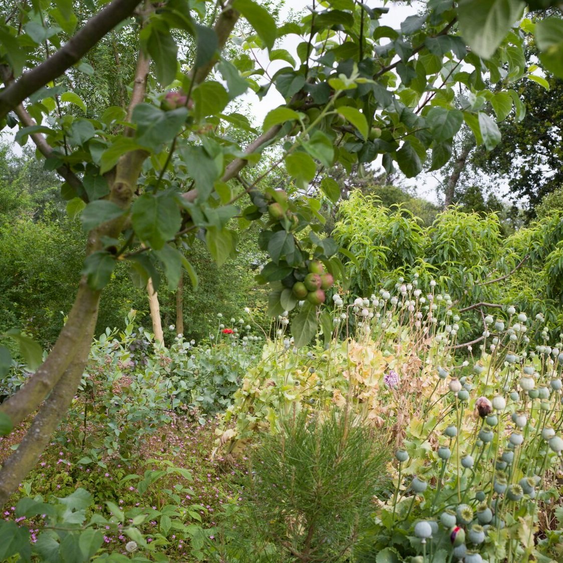 Doctor of Fine Arts Examination Exhibition