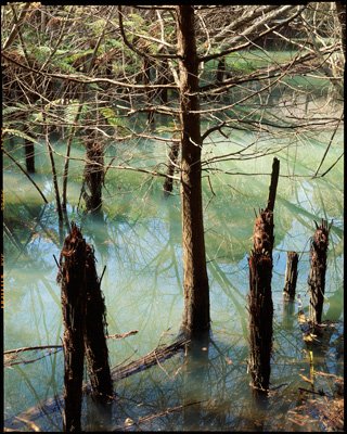 n-Flooded-Lagoon,-Van-Dammes.jpg