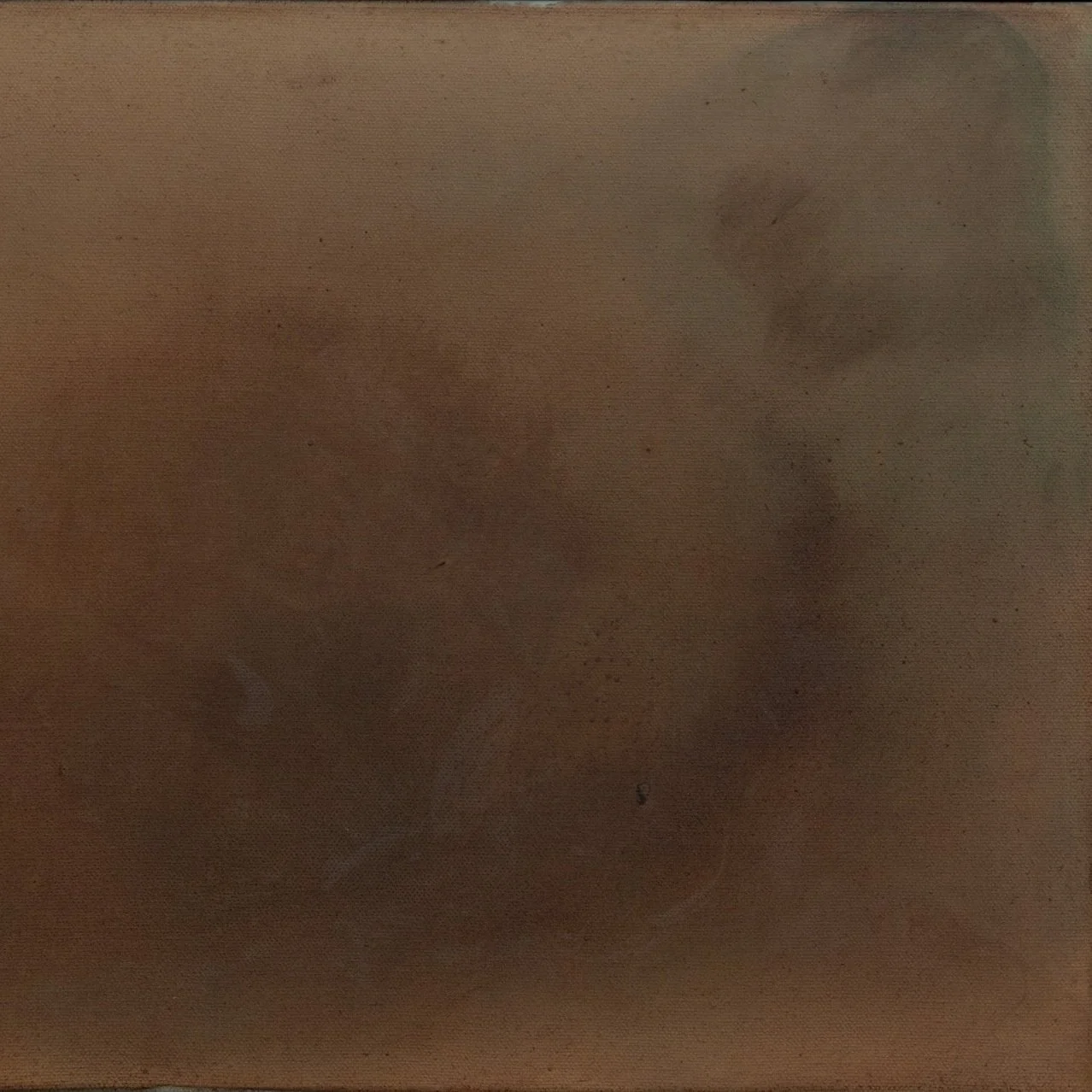 In the Presence of Absence