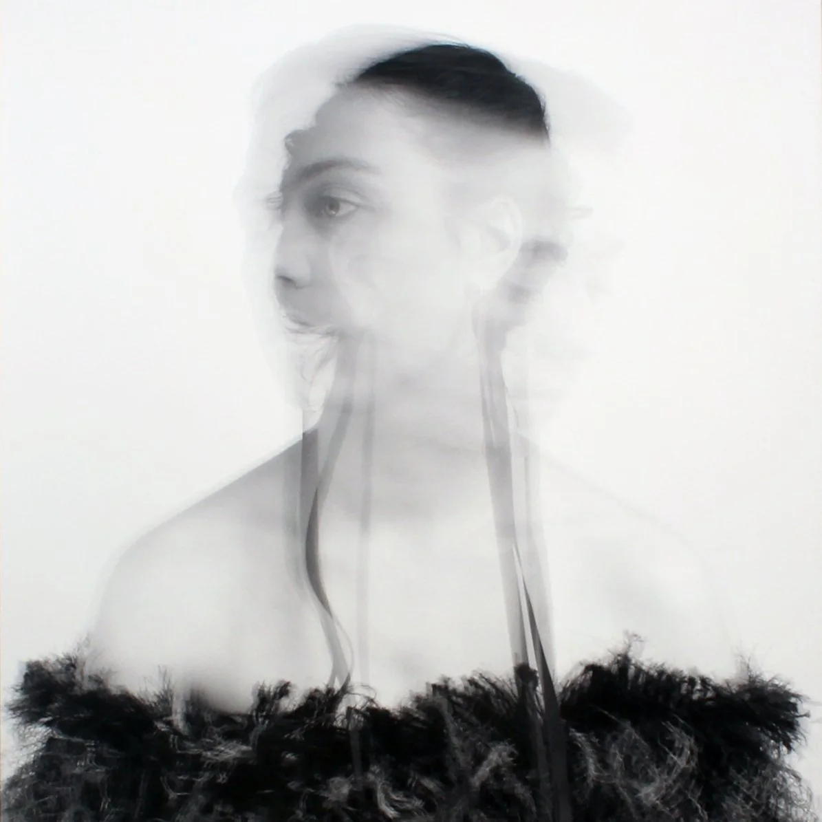 From the Collection: Celebrating 50 years of Photography