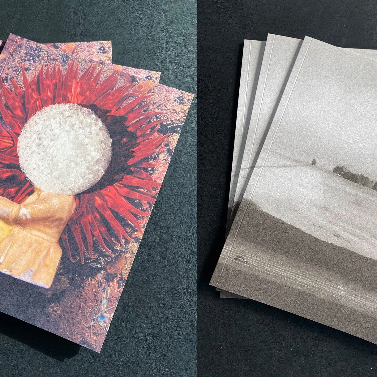 Launch of New PhotoForum Publications