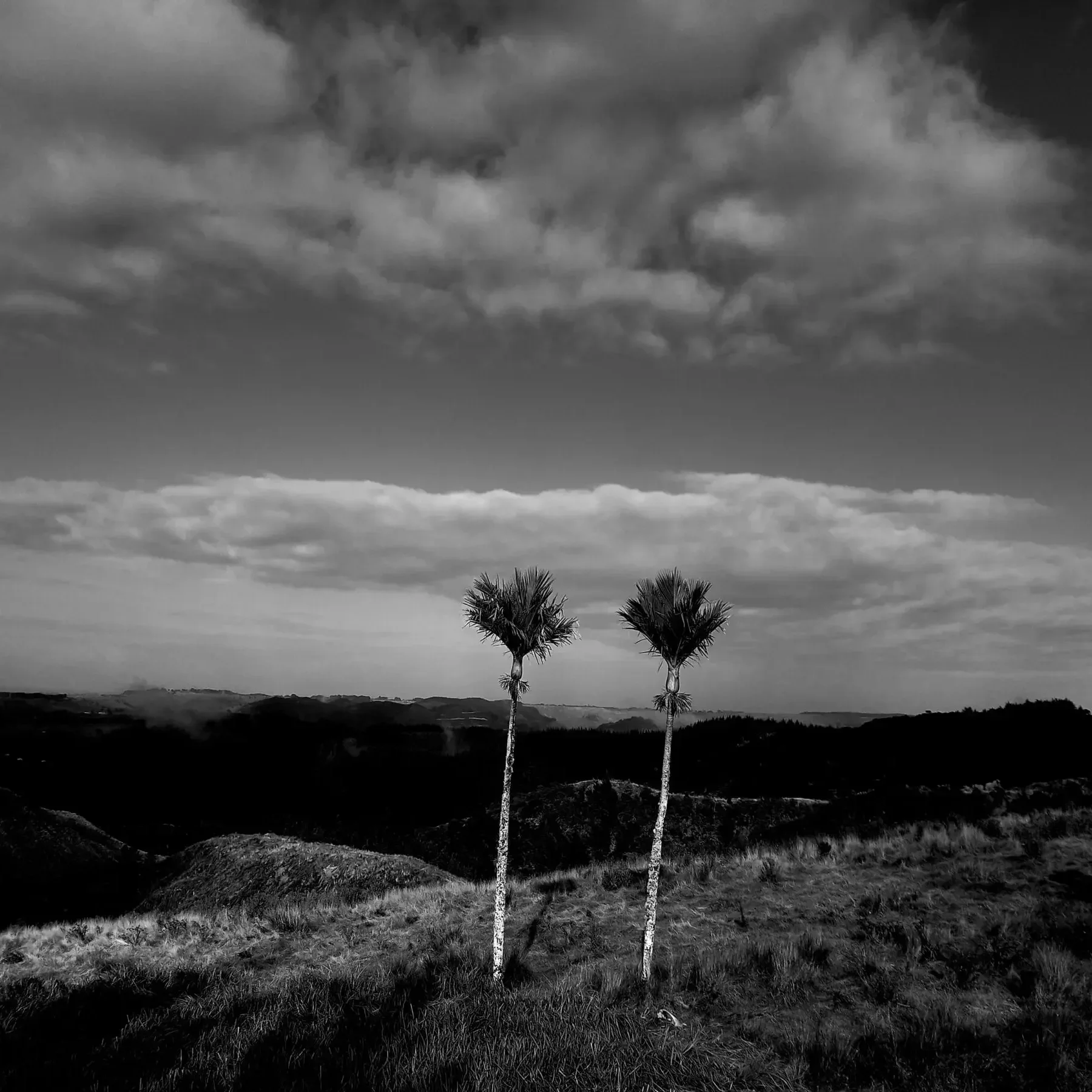 in a time between; a journey of thanks