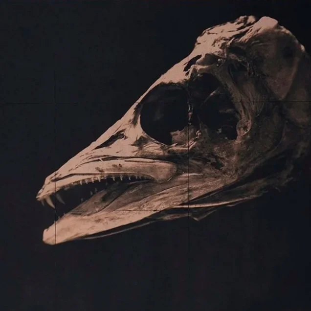 IMBY (in my back yard)