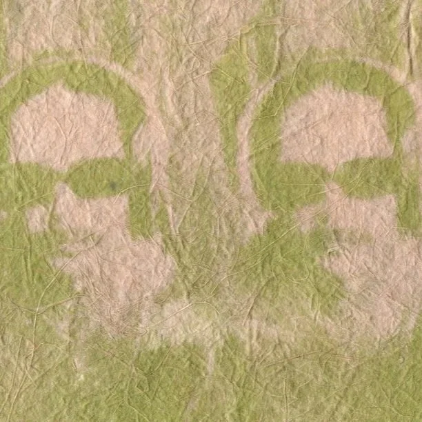 of forests and concrete