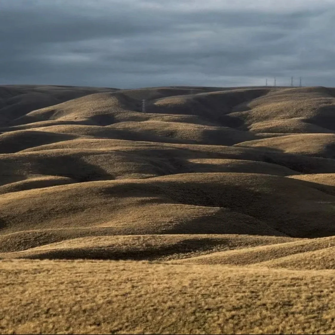 The South Island of New Zealand From the Road
