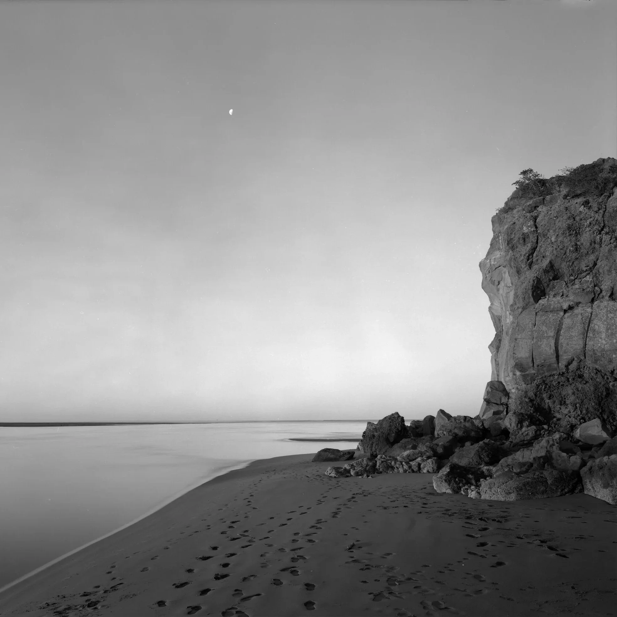 Mark Adams: A Survey | He Kohinga Whakaahua